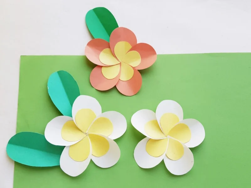 Plumeria Flower Craft