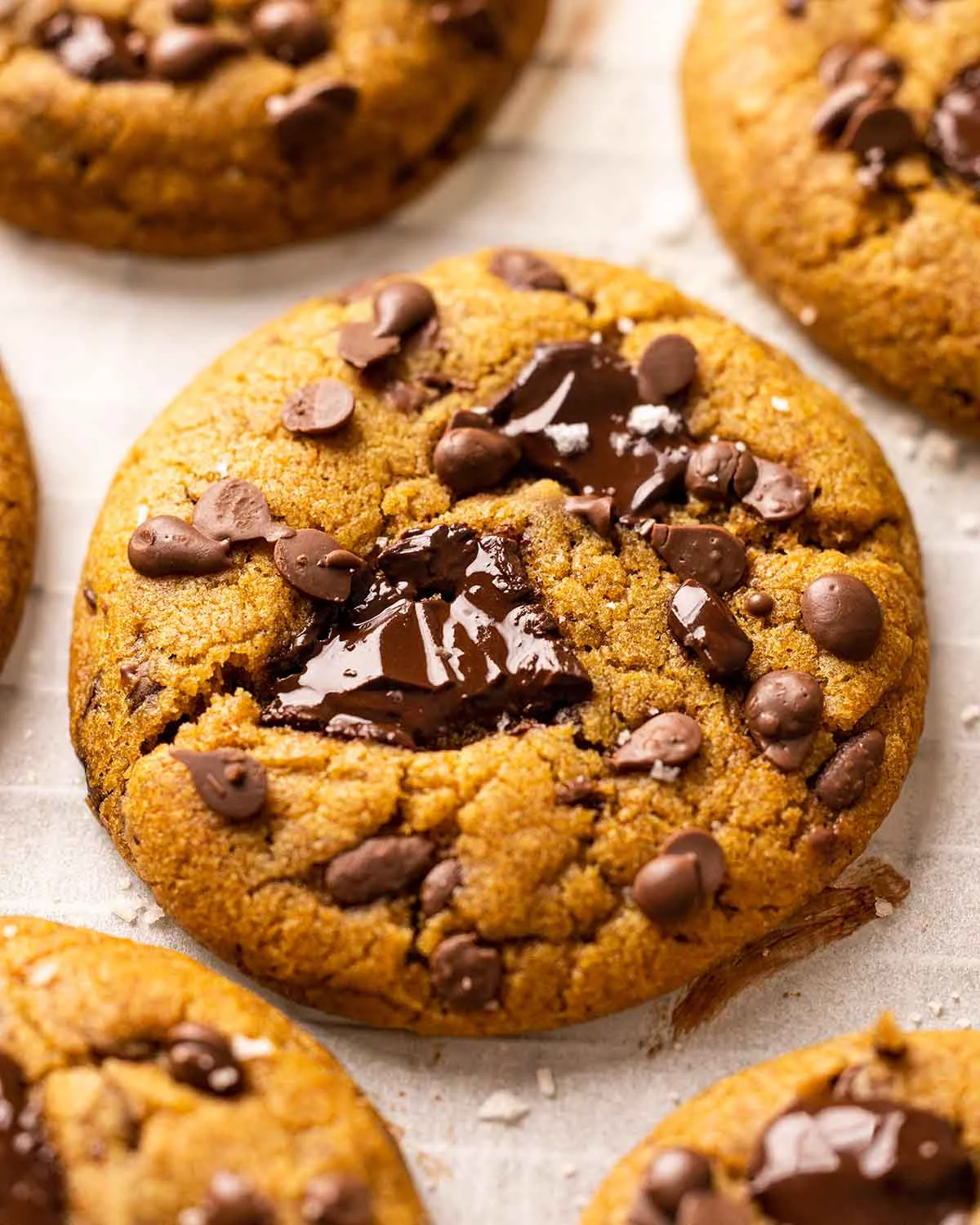 Pumpkin Chocolate Chip Cookies