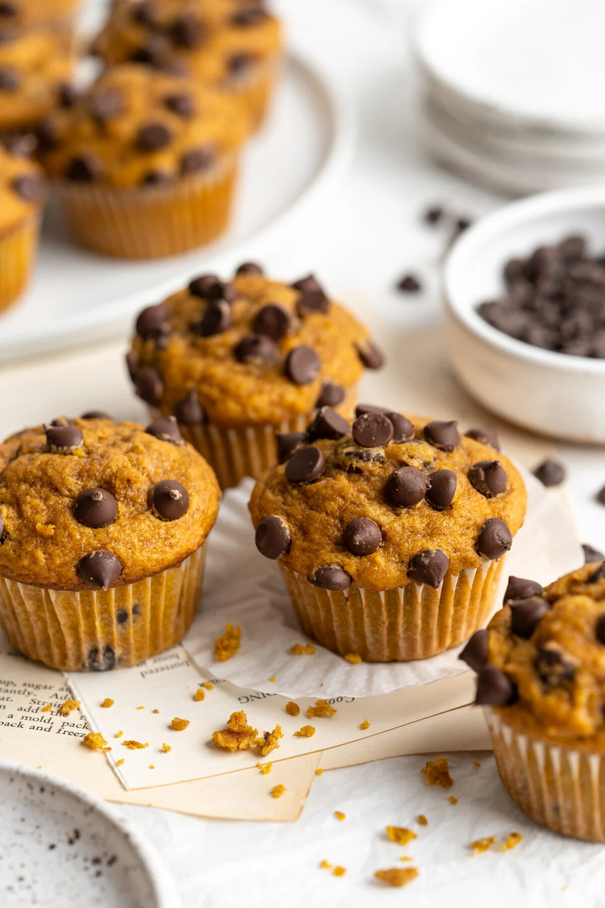 Pumpkin Chocolate Chip Muffins