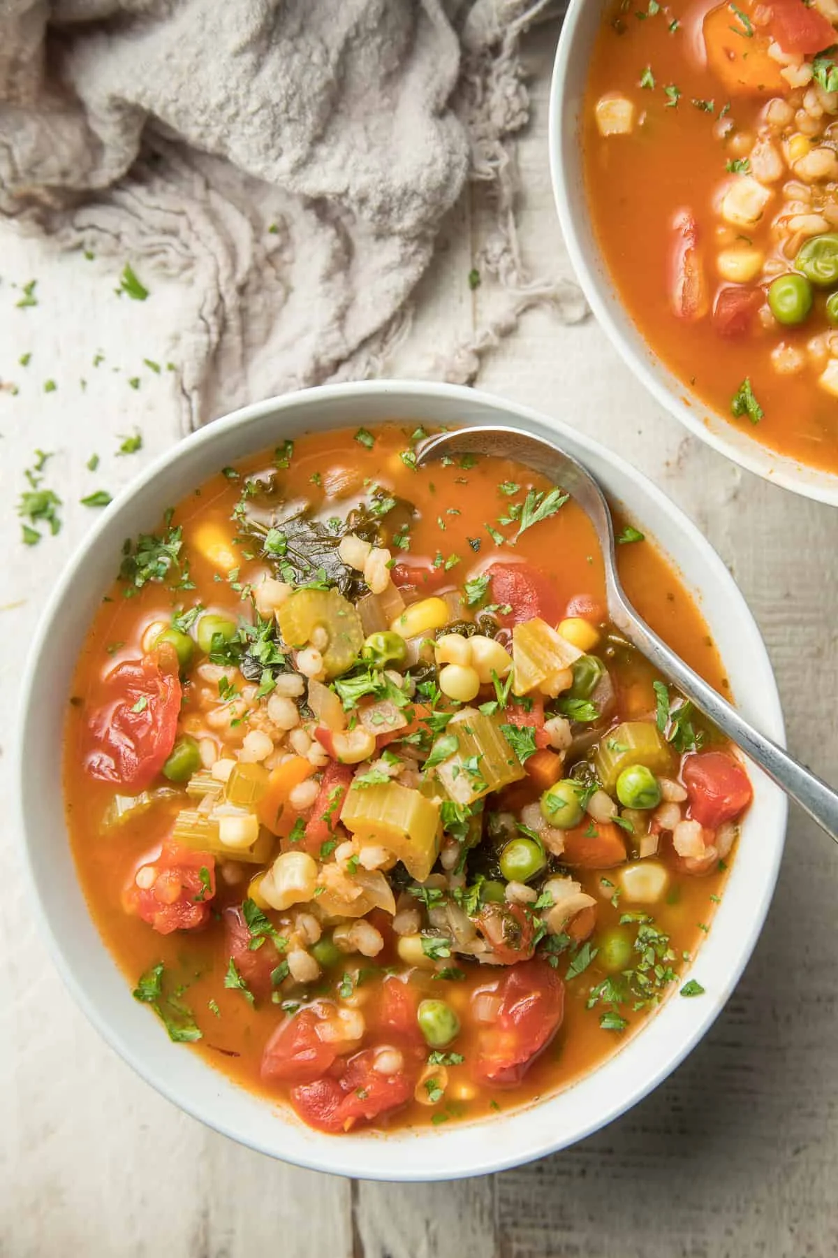 Vegetable Barley Soup