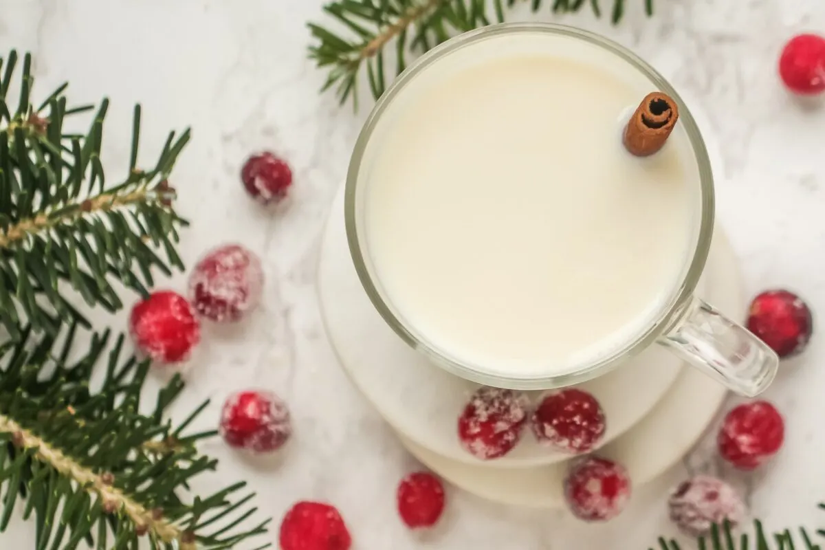 Warm Cinnamon Spiced Milk