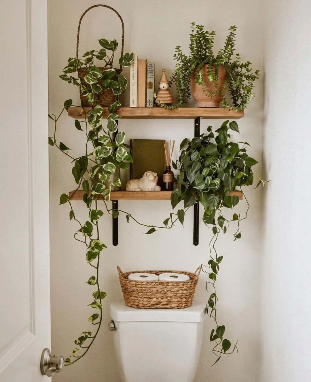 Plant-Filled Bathroom Shelves for a Natural Oasis