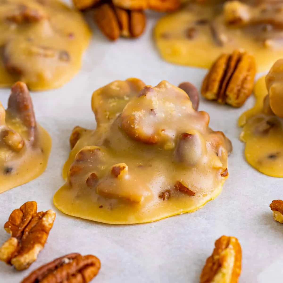 Southern Pecan Pralines