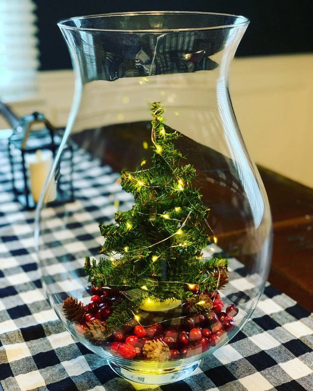 Mini Christmas Tree in a Jar