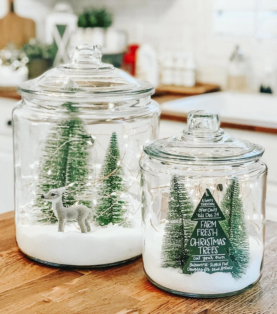 The Snowy Forest in a Jar