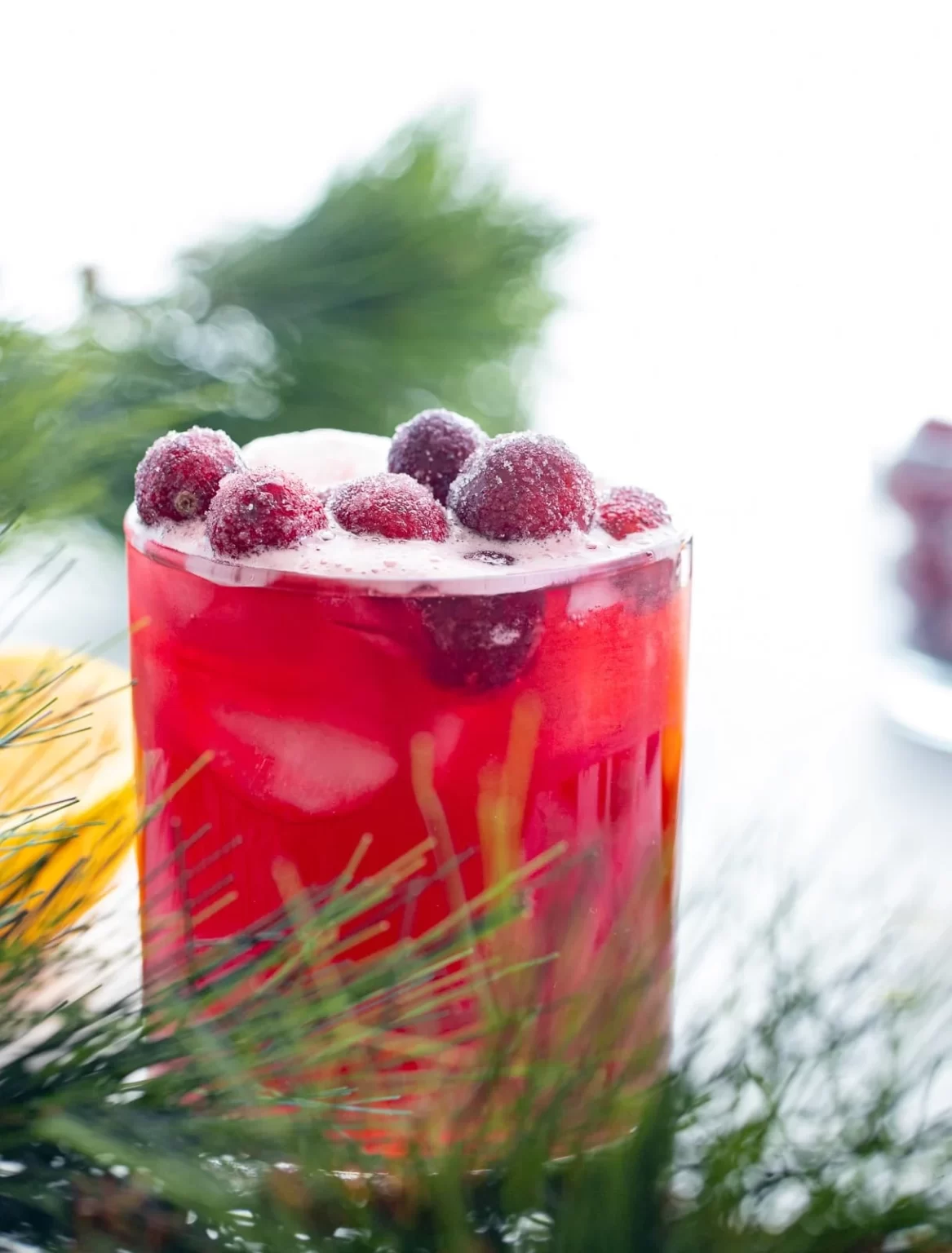 Cranberry Orange Mocktail