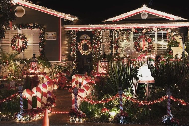 Candy Cane Lane Delight