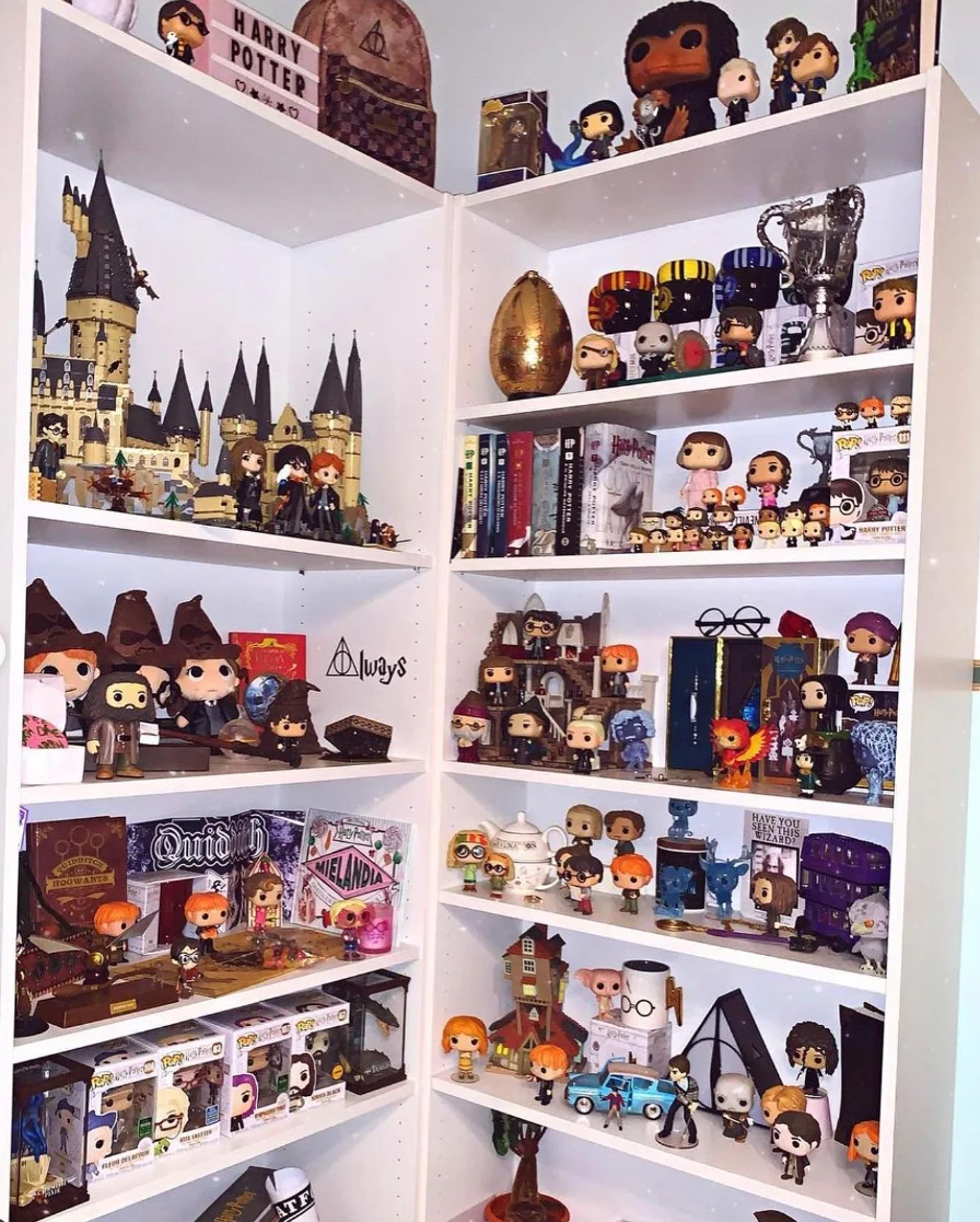 Organize Your Magical Harry Potter Collection