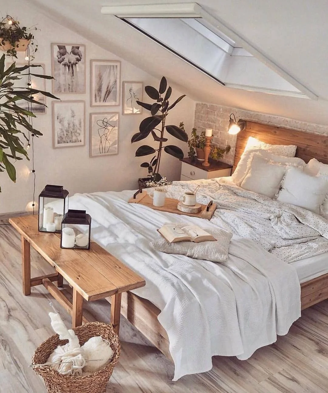 Attic Oasis