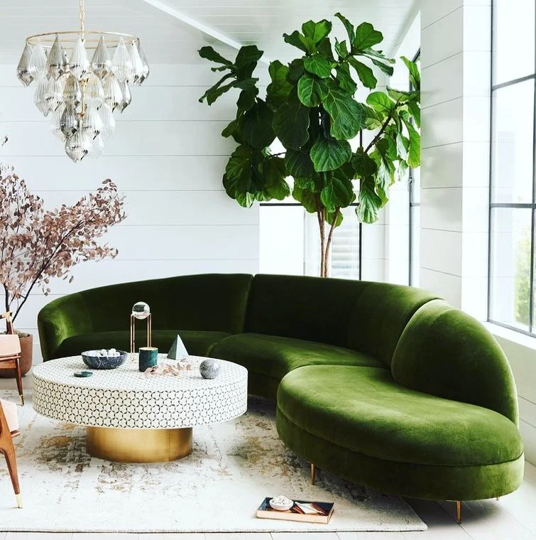 Lush Green Living Room