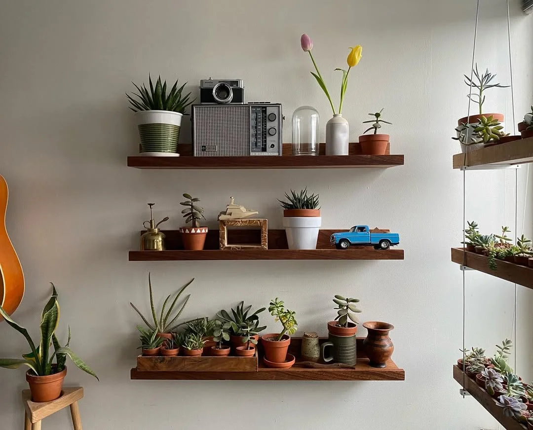 Small Floating Shelf Ideas with Plants