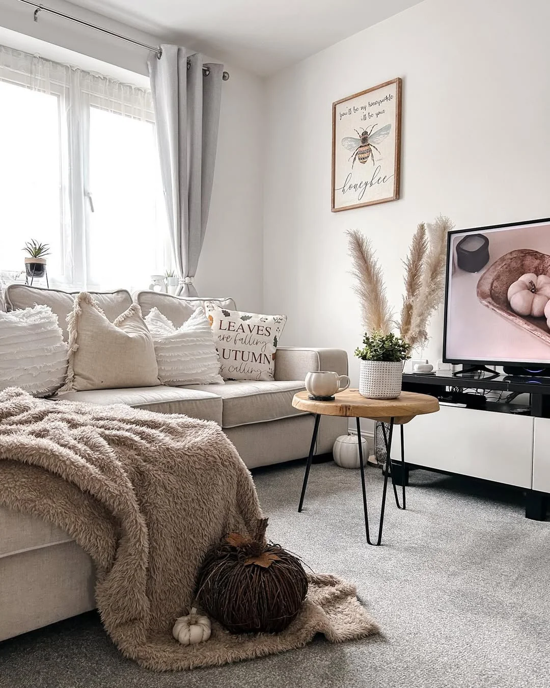 Autumnal Cozy Living Room with Neutral Decor