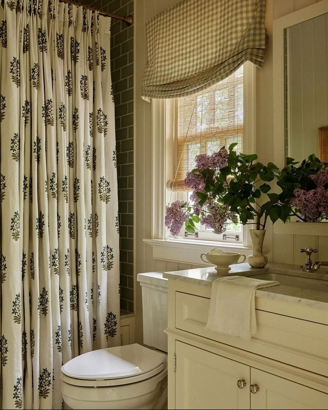 Charming Shower Curtain in a Cozy Bathroom