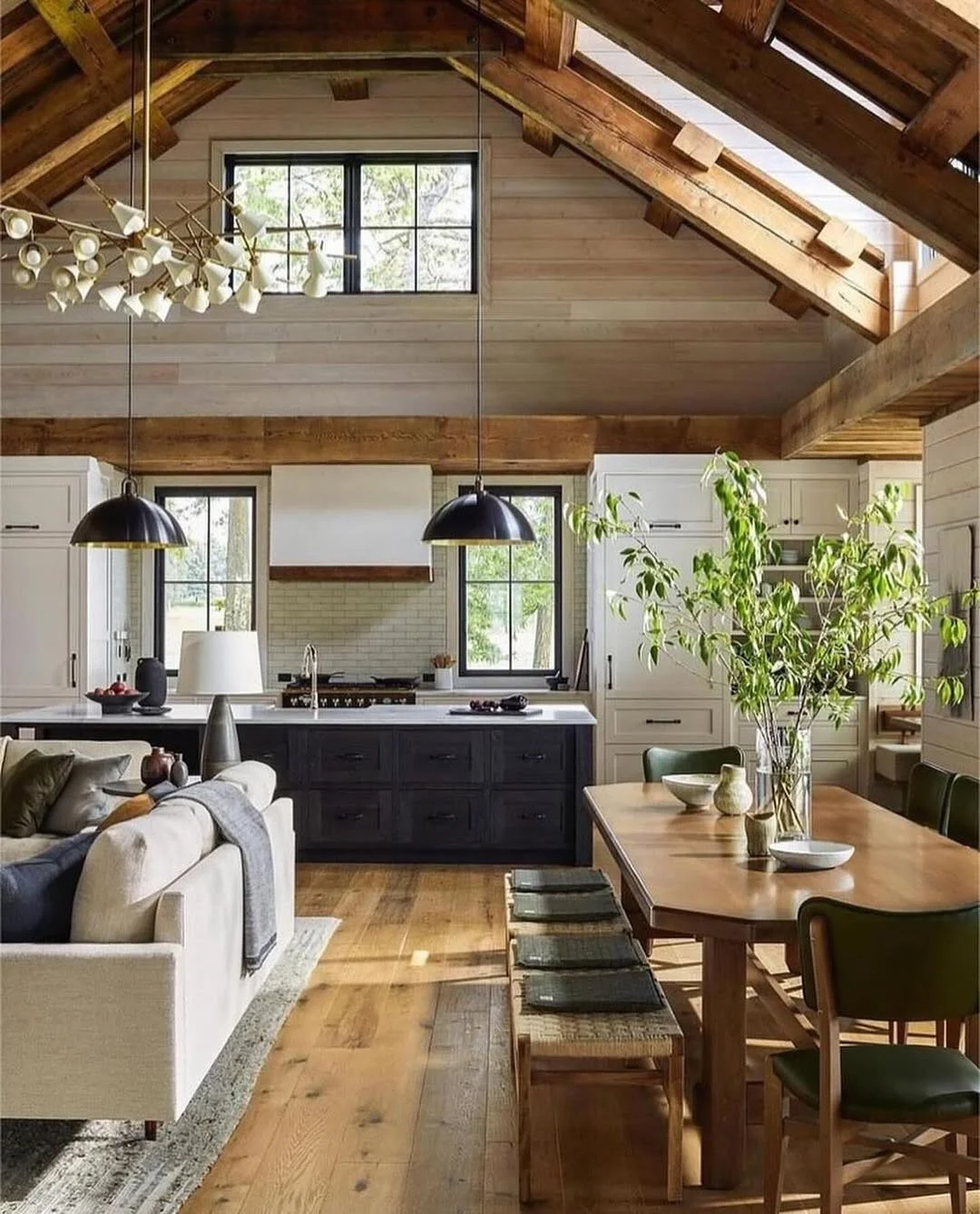 Vaulted Ceiling Open Plan Kitchen and Living Room